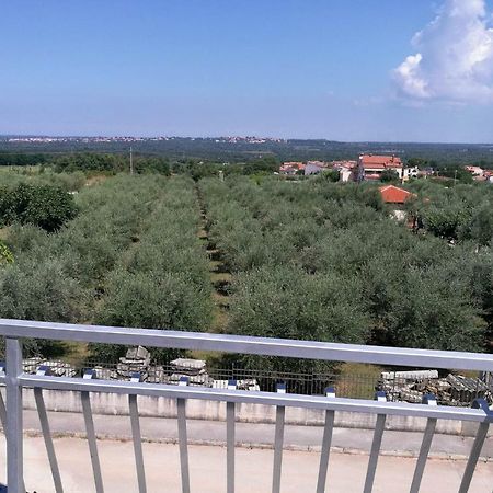 Apartment Coskovic Rosini Kültér fotó
